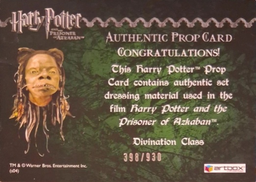 Divination Class Cloth - Back