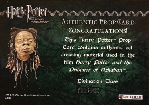 Divination Class Cloth - Back