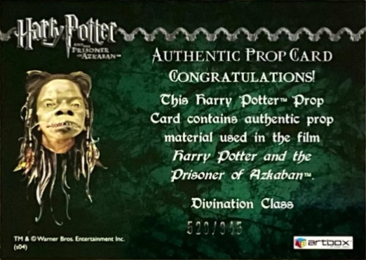 Divination Class Table Cloth - Back