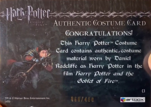 C1 - Harry Potter's First Task Costume - Back