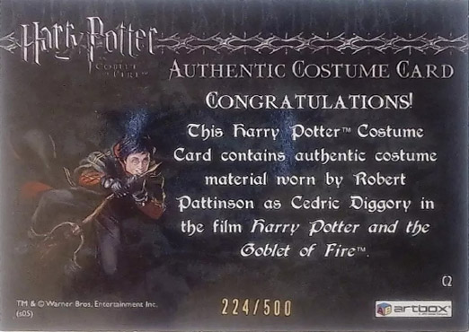 C2 - Cedric Diggory First Task Costume - Back