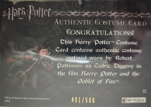 C2 - Cedric Diggory First Task Costume - Back