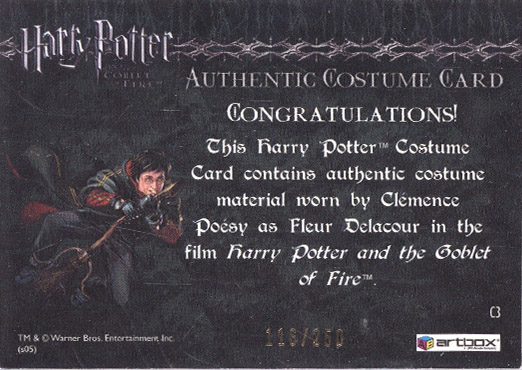 C3 - Fleur Delacour's First Task Costume - Back