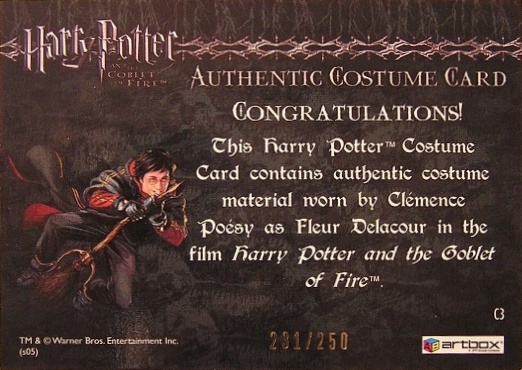 C3 - Fleur Delacour's First Task Costume - Back