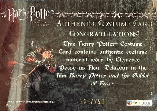 C3 - Fleur Delacour's First Task Costume - Back