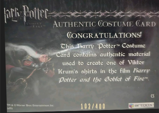 C5 - Viktor Krum's Third Task Costume - Back