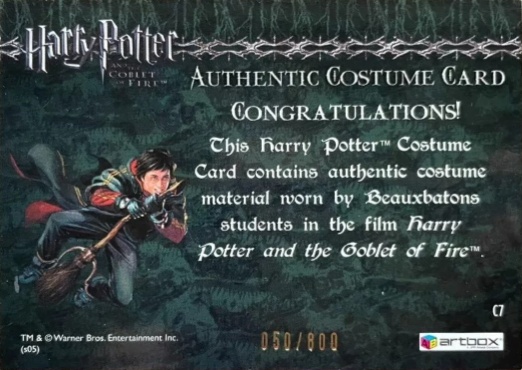 C7 - Beauxbatons Students Costume - Back