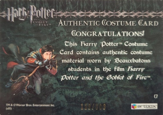 C7 - Beauxbatons Students Costume - Back