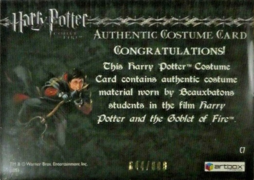 C7 - Beauxbatons Students Costume - Back