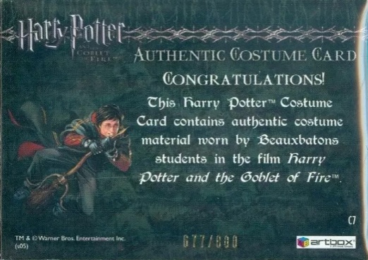 C7 - Beauxbatons Students Costume - Back