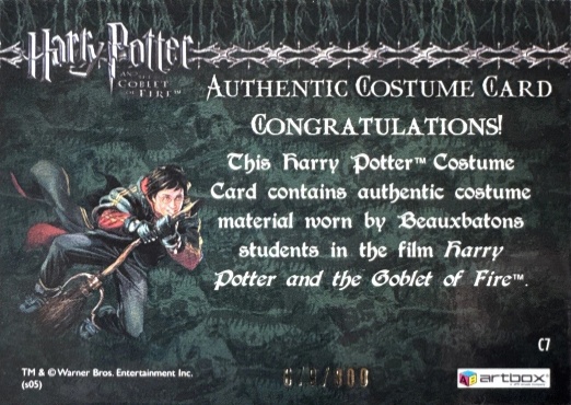 C7 - Beauxbatons Students Costume - Back