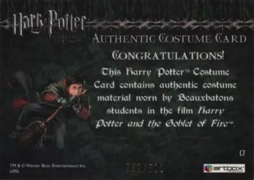 C7 - Beauxbatons Students Costume - Back