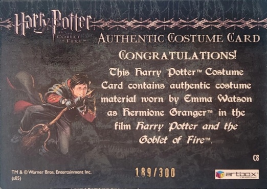 C8 - Hermione's Trousers - Back