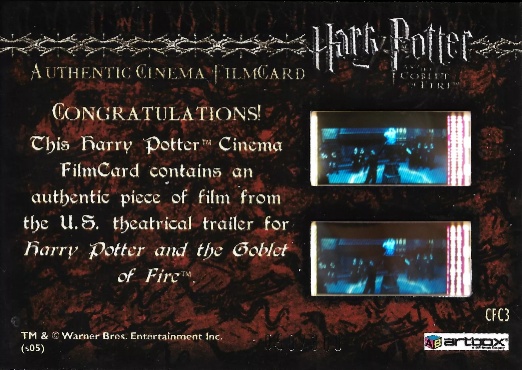 CFC3 - Dragon Breathing Fire - Back