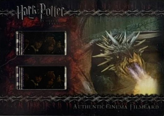 CFC3 - Dragon Breathing Fire - Front