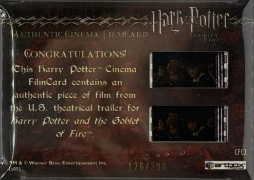 CFC3 - Dragon Breathing Fire - Back