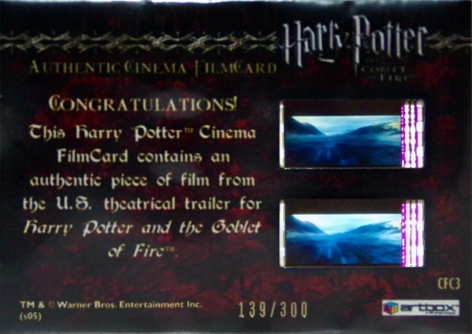 CFC3 - Dragon Breathing Fire - Back