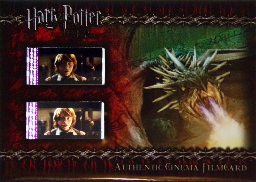 CFC3 - Dragon Breathing Fire - Front