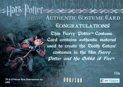 C13a - Death Eater Robes - Back