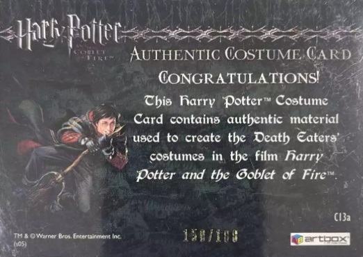 C13a - Death Eater Robes - Back