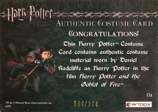 C1a - Harry Potter's First Task Robes - Back