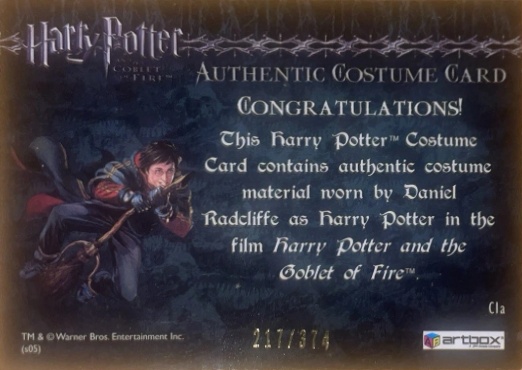 C1a - Harry Potter's First Task Robes - Back