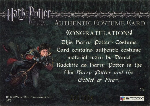 C1a - Harry Potter's First Task Robes - Back