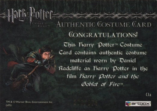 C1a - Harry Potter's First Task Robes - Back