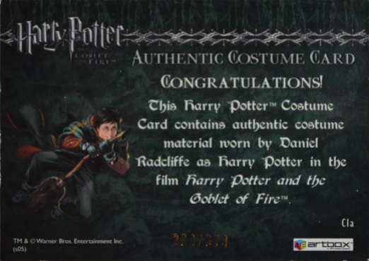 C1a - Harry Potter's First Task Robes - Back
