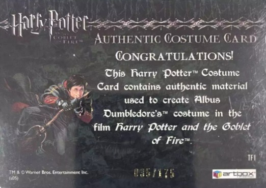 TF1 - Dumbledore's Robes - Back