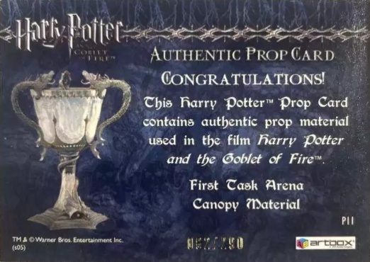 P11 - First Task Arena Canopy Material - Back