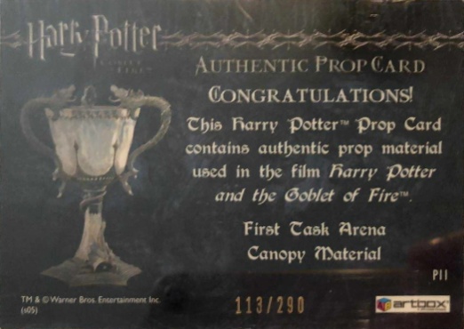 P11 - First Task Arena Canopy Material - Back