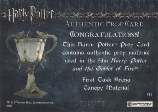 P11 - First Task Arena Canopy Material - Back