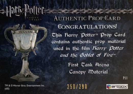 P11 - First Task Arena Canopy Material - Back