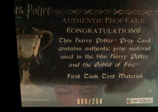 P7 - First Task Tent Material - Back