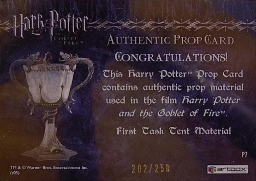 P7 - First Task Tent Material - Back