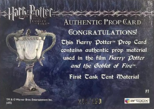 P7 - First Task Tent Material - Back