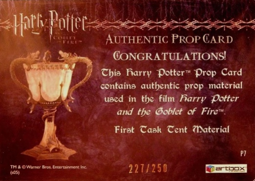 P7 - First Task Tent Material - Back