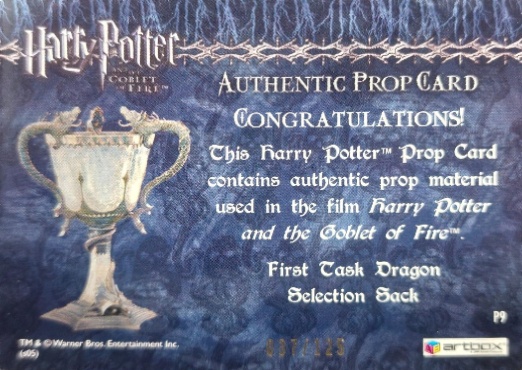 P9 - First Task Dragon Selection Sack - Back