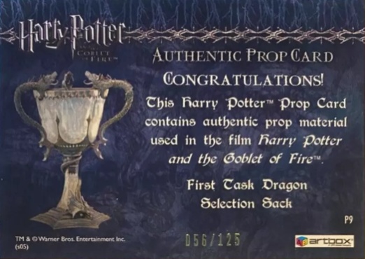 P9 - First Task Dragon Selection Sack - Back