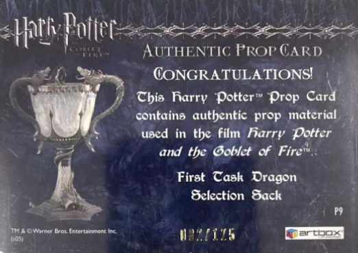 P9 - First Task Dragon Selection Sack - Back