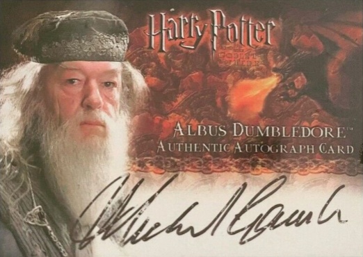 Michael Gambon as Albus Dumbledore
