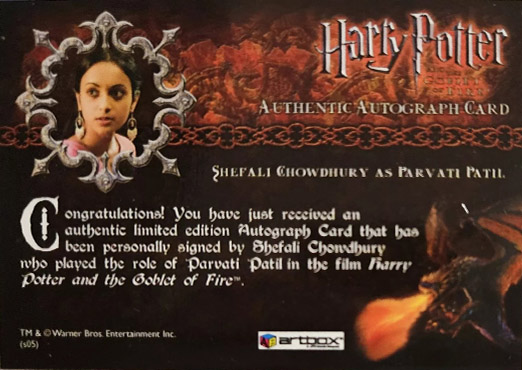 Shefali Chowdhury as Parvati Patil - Back