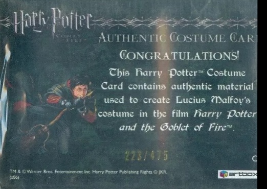 C1 -  Lucius Malfoy's Robe - Back