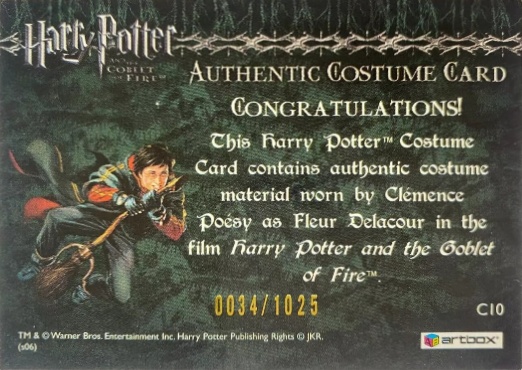 C10 - Fleur Delacour's First Task Costume - Back