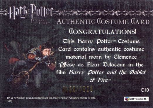 C10 - Fleur Delacour's First Task Costume - Back