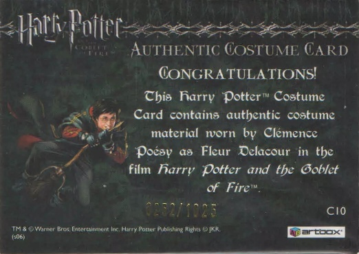 C10 - Fleur Delacour's First Task Costume - Back