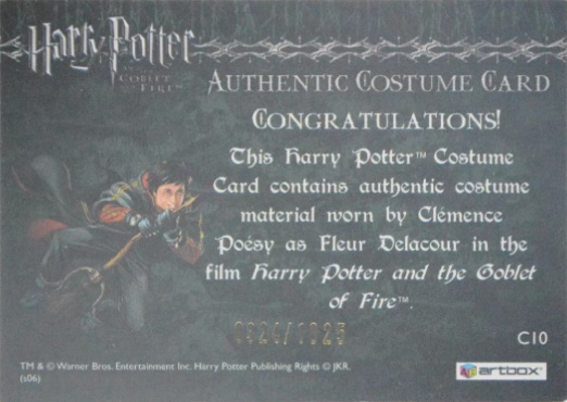 C10 - Fleur Delacour's First Task Costume - Back