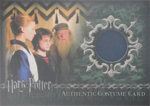 C10 - Fleur Delacour's First Task Costume - Front