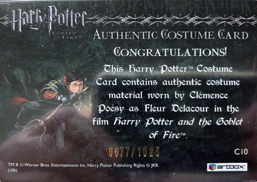 C10 - Fleur Delacour's First Task Costume - Back